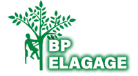 elagage-bp-elagage